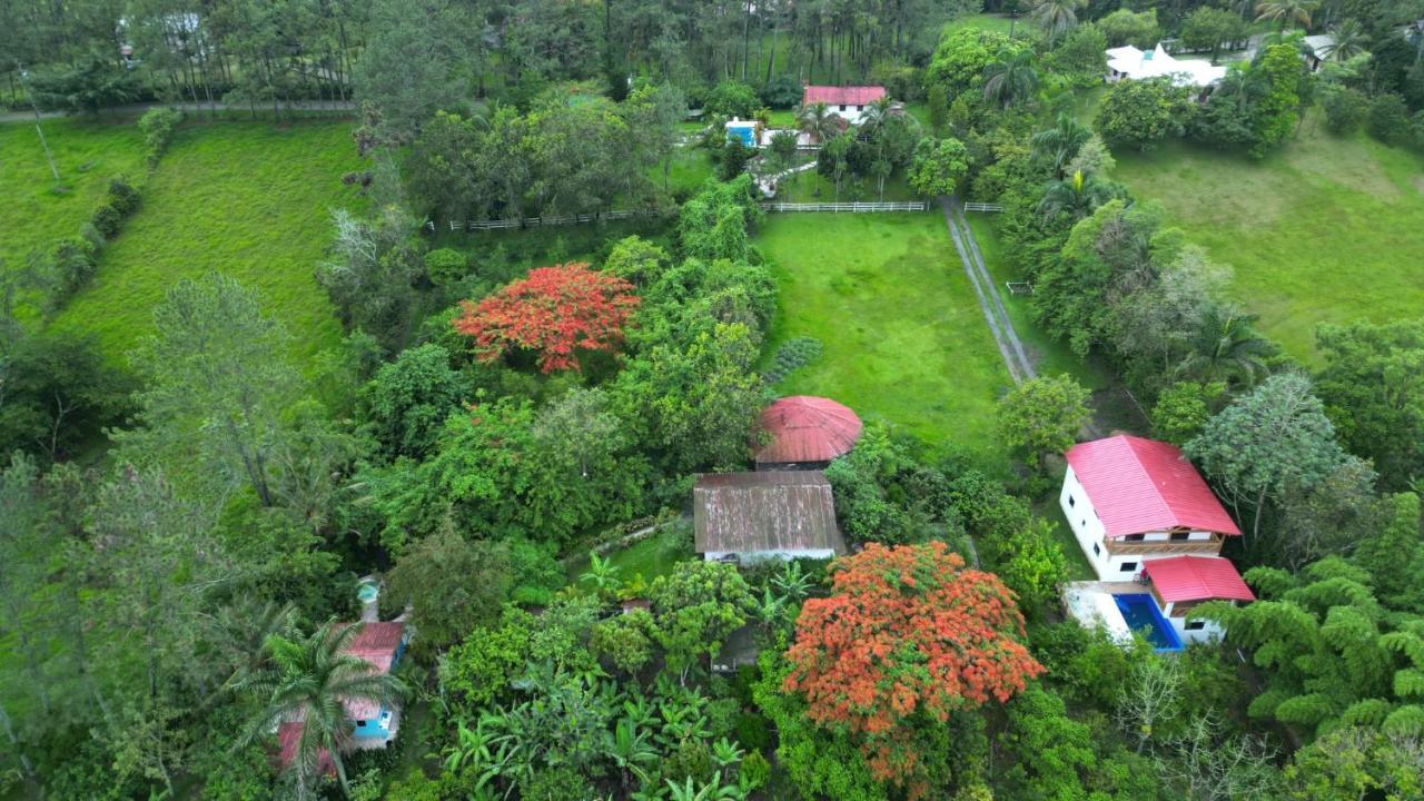 Villa Unter Palmen Jarabacoa Exteriör bild
