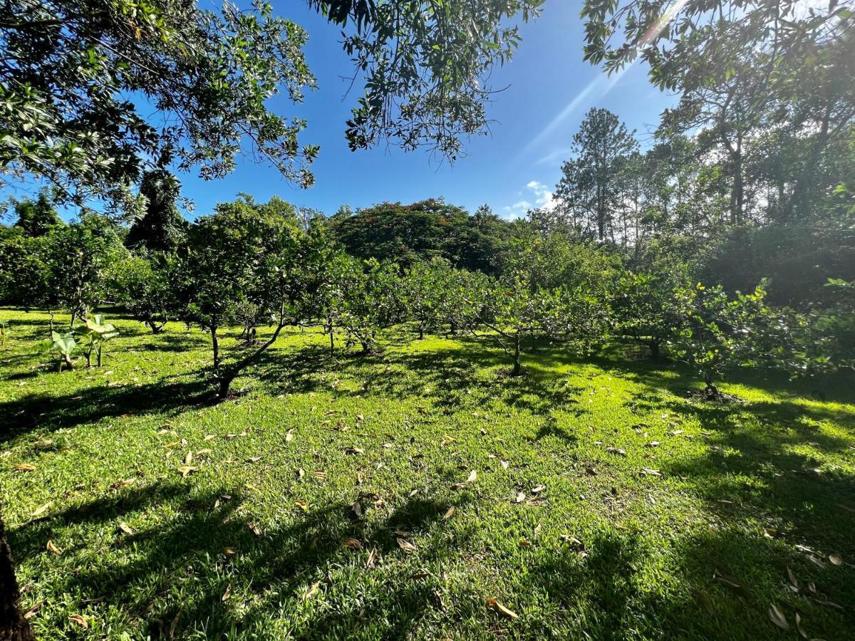 Villa Unter Palmen Jarabacoa Exteriör bild