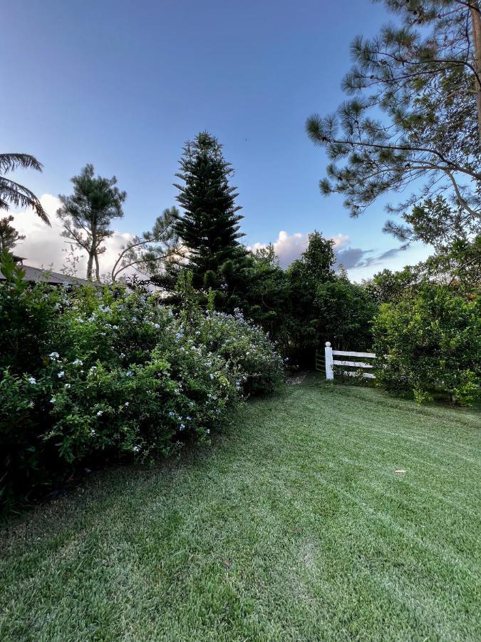 Villa Unter Palmen Jarabacoa Exteriör bild
